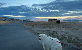 Never Sitting S.'s photo of camping with pets at Bridger Bay Campground — Antelope Island State Park near Hooper, UT