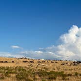 Review photo of Bridger Bay - Antelope Island State Park by Never Sitting S., August 7, 2022