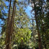 Review photo of Camano Island State Park Campground by Rebekah K., August 7, 2022