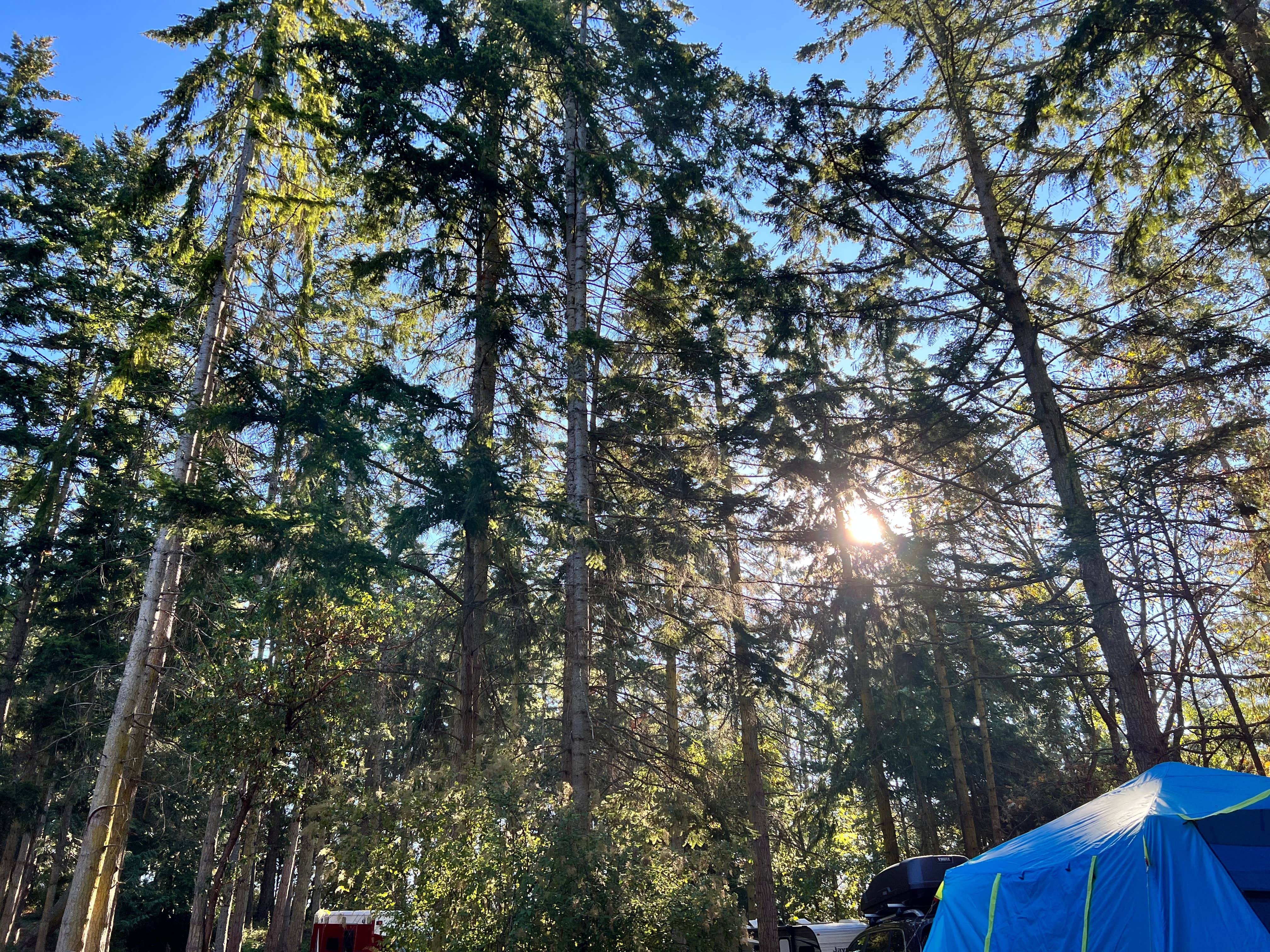Rebekah K.'s photo at Camano Island State Park Campground near Coupeville, WA