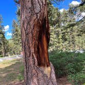 Review photo of Indian Trees Campground by cathy L., August 8, 2022