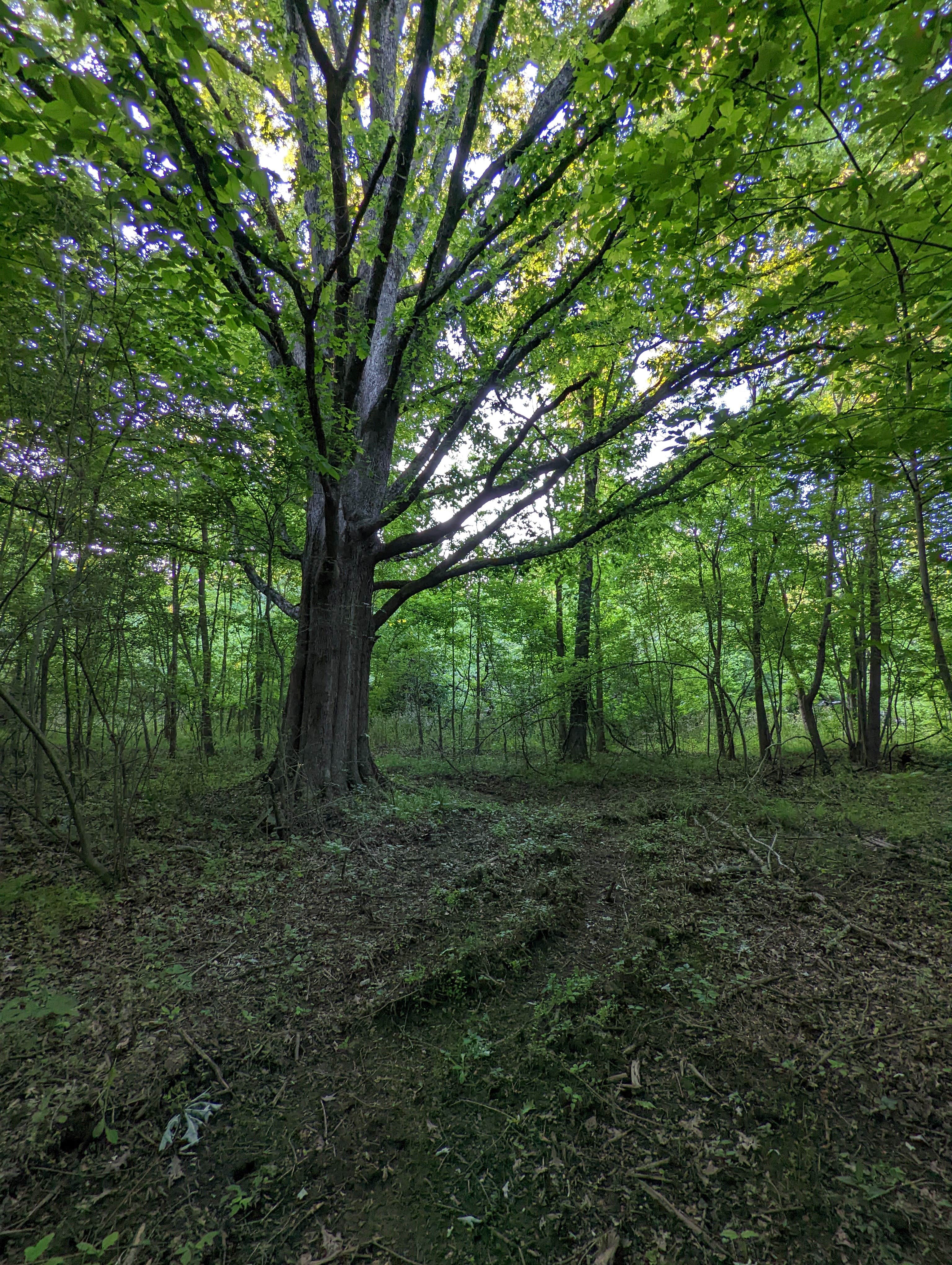 Camper-submitted photo at Quail Run at Pate's Creek near Jonesboro, GA