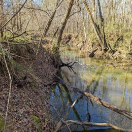 Campground Finder: Quail Run at Pate's Creek