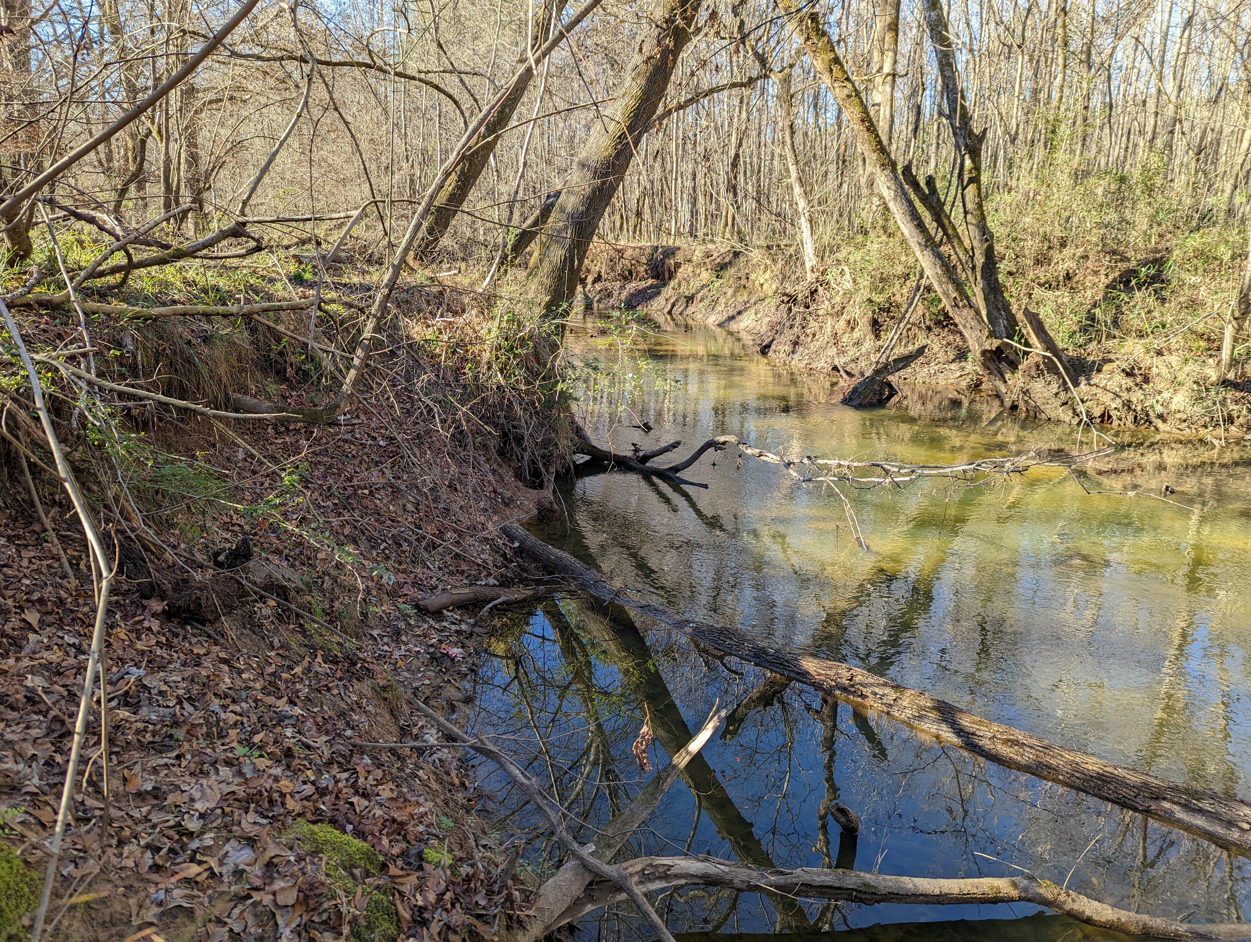 Camper submitted image from Quail Run at Pate's Creek - 1