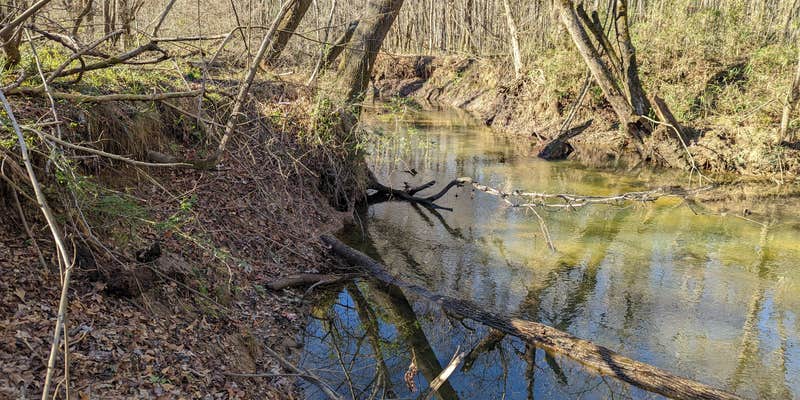 Camper submitted image from Quail Run at Pate's Creek