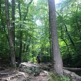 Review photo of Laurel Hill State Park Campground by Gina I., August 8, 2022