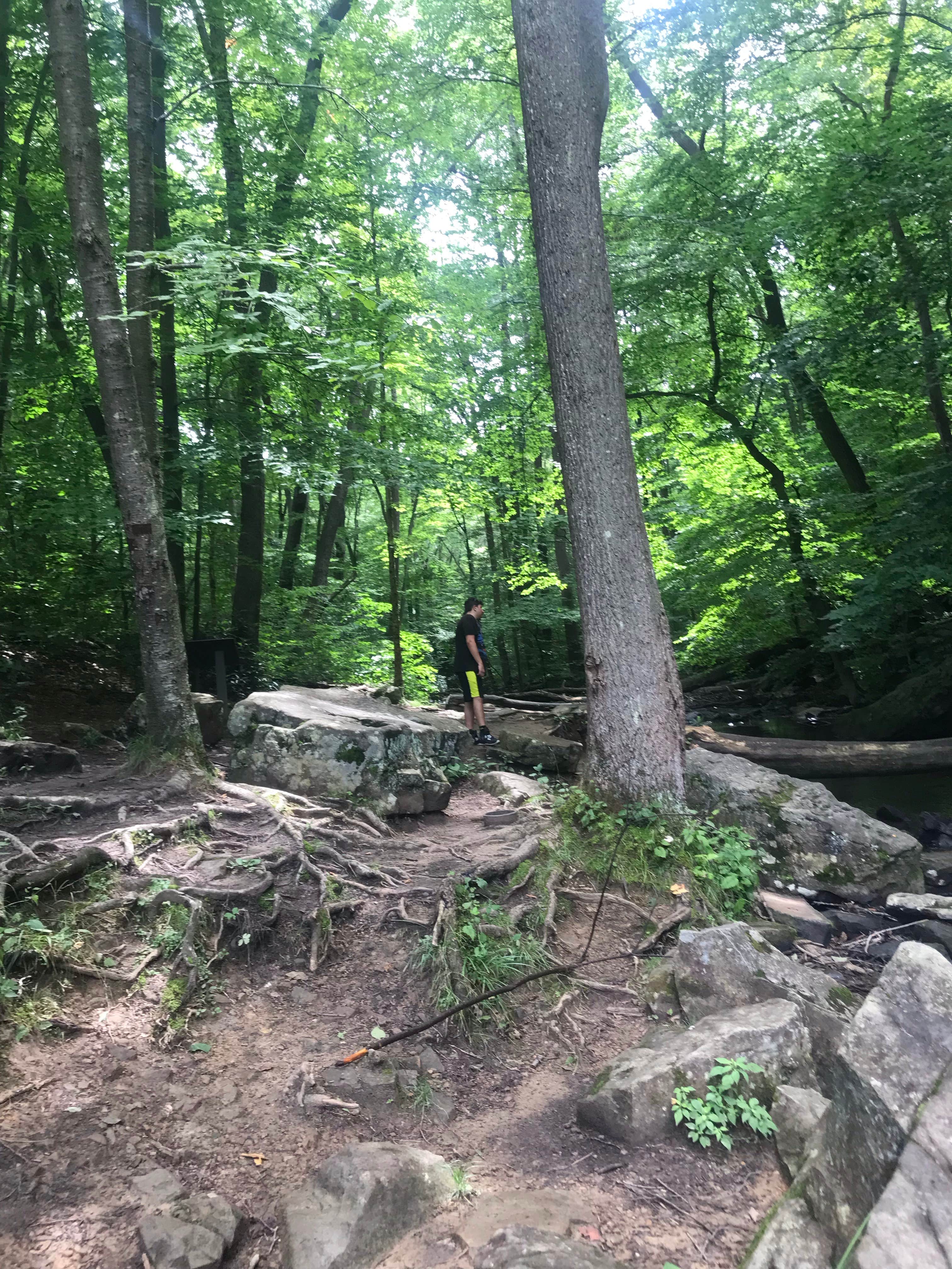 Laurel Hill State Park Hiking Trails 2025