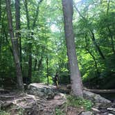 Review photo of Laurel Hill State Park Campground by Gina I., August 8, 2022