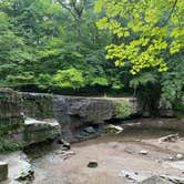 Review photo of Nerstrand Big Woods State Park Campground by Brady J., August 8, 2022