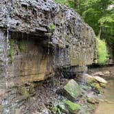 Review photo of Nerstrand Big Woods State Park Campground by Brady J., August 8, 2022