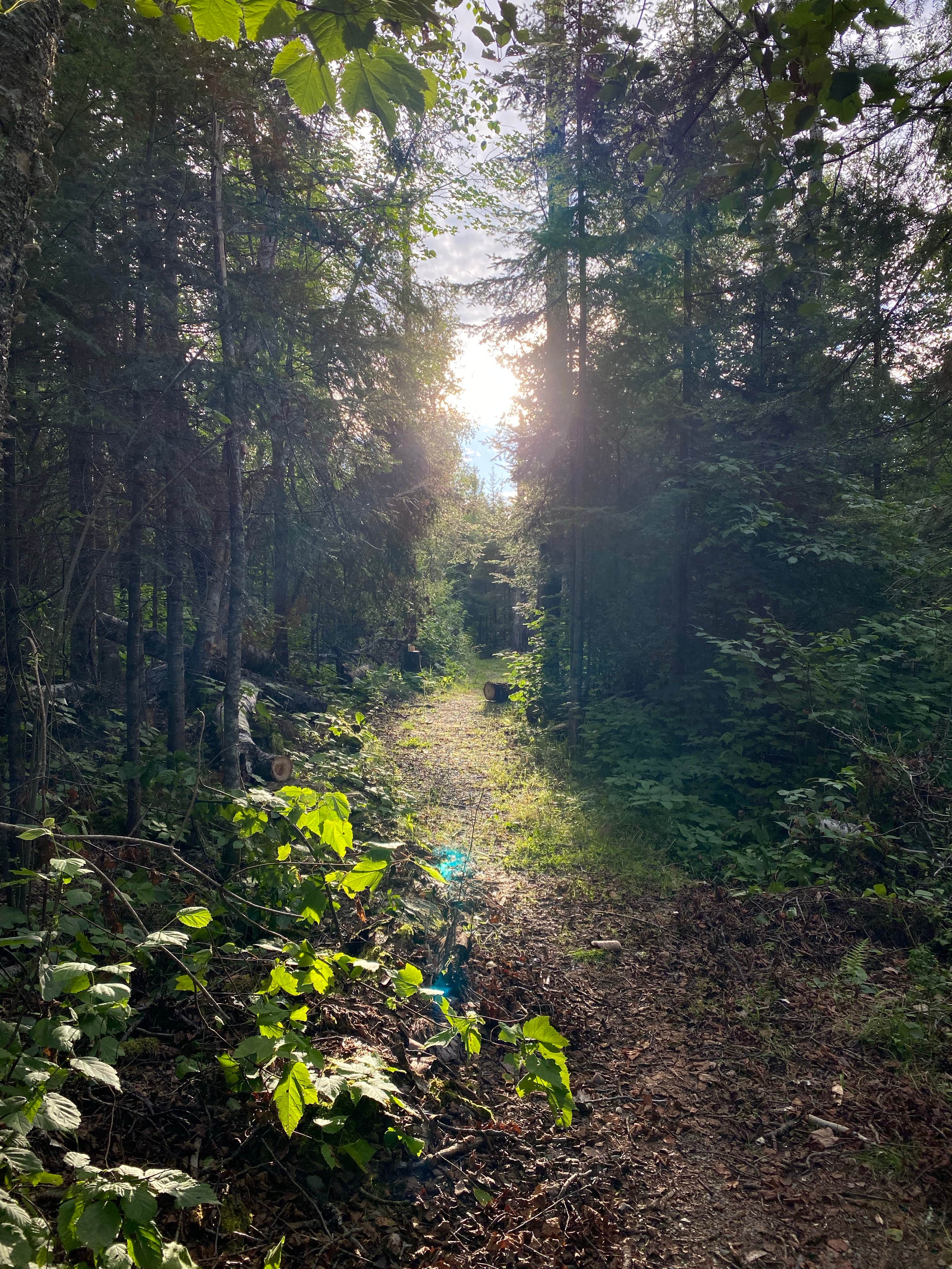 Camper-submitted photo at Lake Vermillion - Soudan Mine State Park Campsites — Lake Vermilion-Soudan Underground Mine State Park near Biwabik, MN