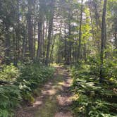 Review photo of Lake Vermillion - Soudan Mine State Park Campsites — Lake Vermilion-Soudan Underground Mine State Park by Brady J., August 8, 2022