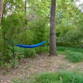Don't forget your hammock straps on the trees!