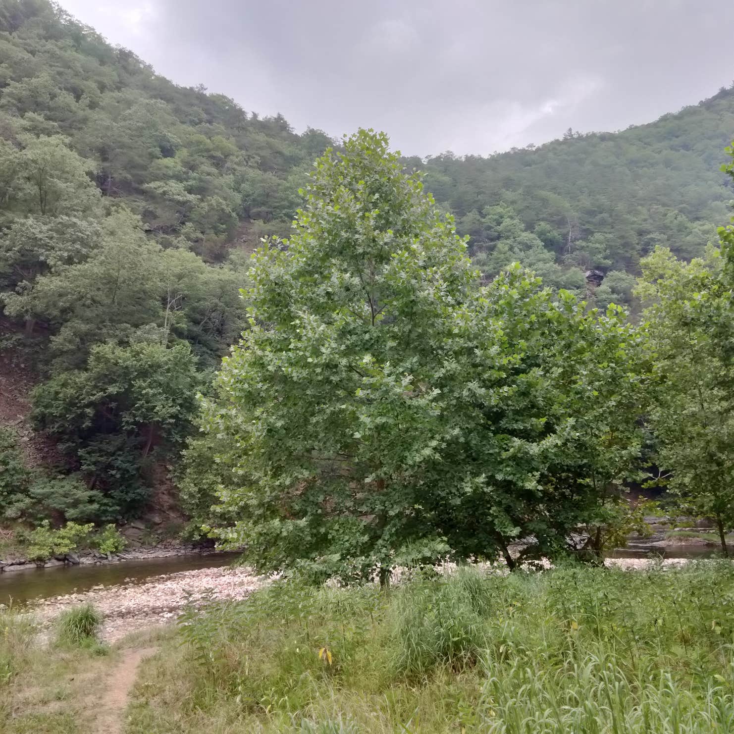 Big Bend Camping | Cabins, WV