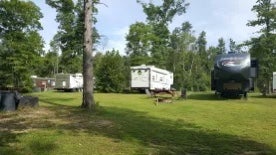 Camper submitted image from 37 Acres Campground  - 3
