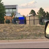 Review photo of Peregrine Pines FamCamp by Tabitha M., July 22, 2018