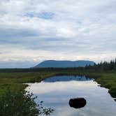 Review photo of Lazy Tom Bog Primitive Campsite by Paula C., August 8, 2022