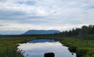 Paula C.'s photo of a dispersed camping area at Lazy Tom Bog Primitive Campsite in Maine