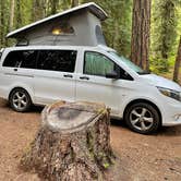 Review photo of Ohanapecosh Campground — Mount Rainier National Park by Lee D., August 8, 2022