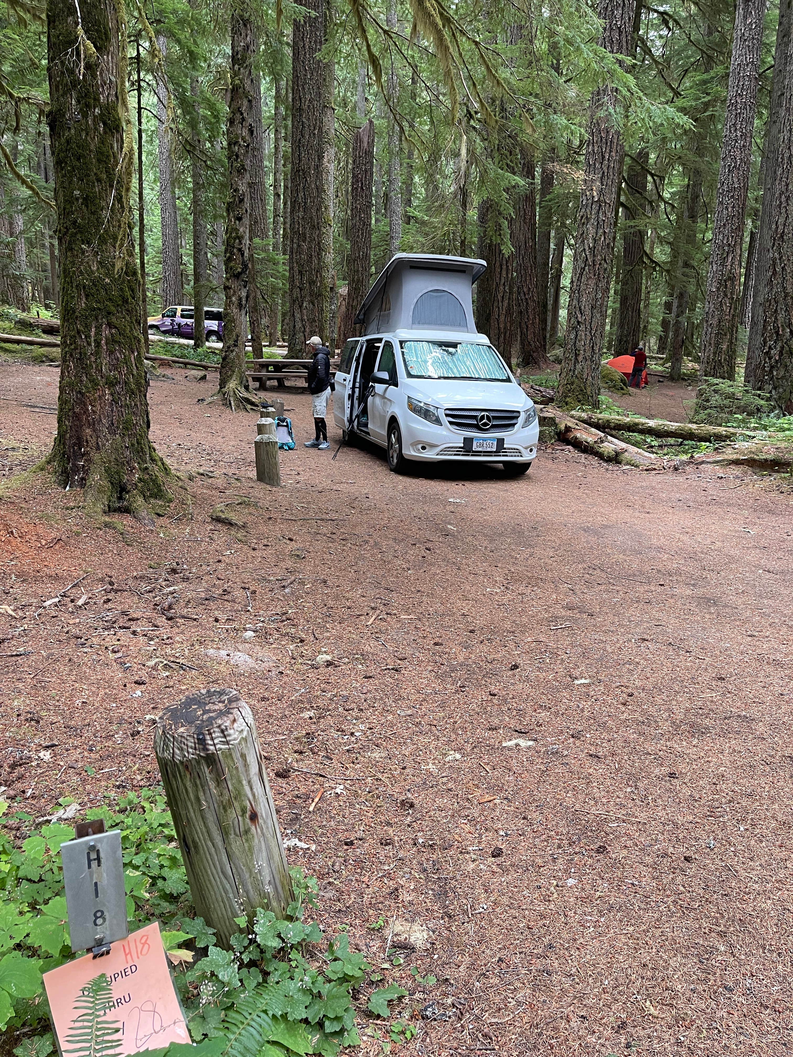 Lee D.'s photo at Ohanapecosh Campground — Mount Rainier National Park near White Pass, WA