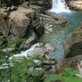 Review photo of Ohanapecosh Campground — Mount Rainier National Park by Lee D., August 8, 2022