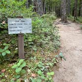 Review photo of Ohanapecosh Campground — Mount Rainier National Park by Lee D., August 8, 2022