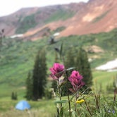 Review photo of Paradise Divide Dispersed Camping by Sierra T., August 8, 2022