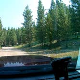 Review photo of Canyon Creek Road Dispersed Camping by Ronald C., August 8, 2022