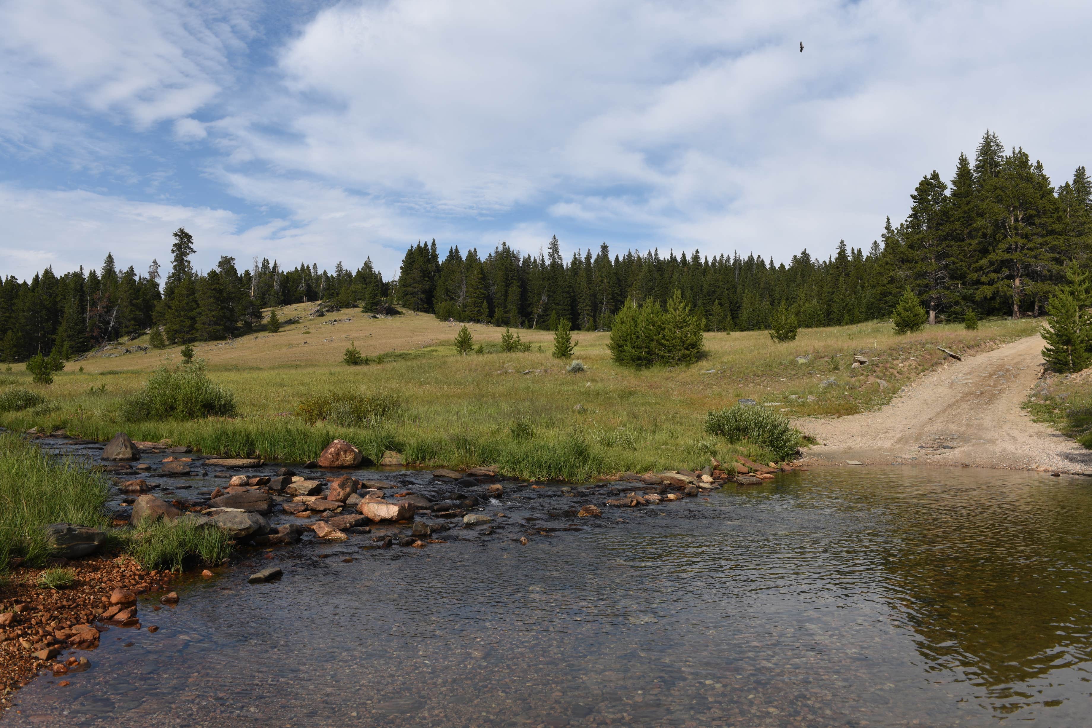 Camper submitted image from Canyon Creek Road Dispersed Camping - 2