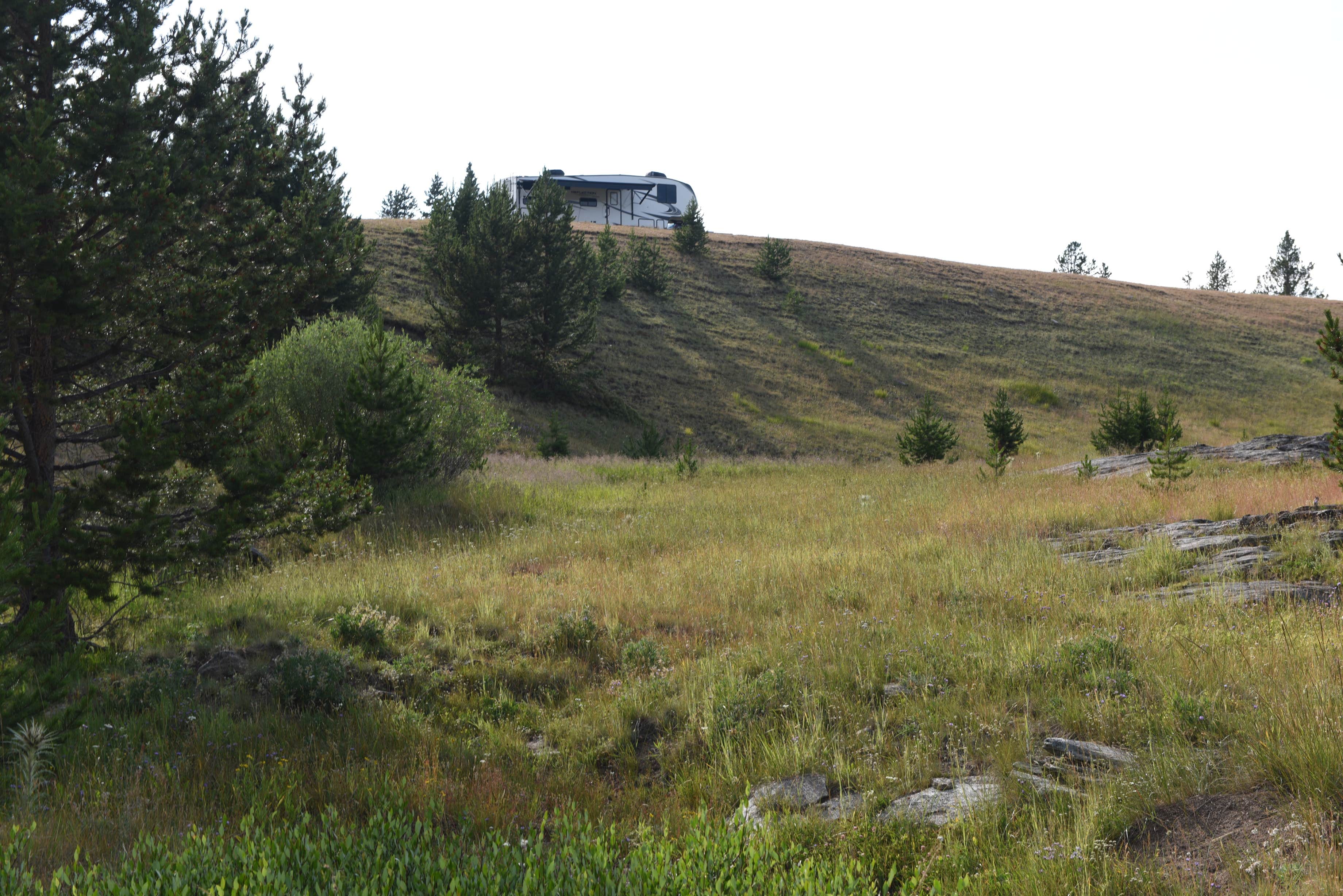 Camper-submitted photo at Canyon Creek Road Dispersed Camping near Buffalo, WY