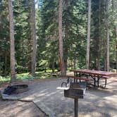 Review photo of Middle Fork by Casey L., August 8, 2022