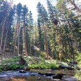 Review photo of Middle Fork by Casey L., August 8, 2022