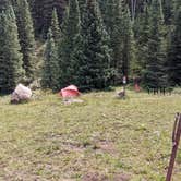 Review photo of Priest Lake Dispersed Camping Area by Greg L., August 8, 2022