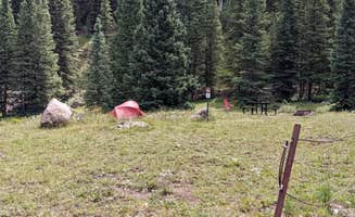 Greg L.'s photo of tent camping at Priest Lake Dispersed Camping Area near Ouray, CO