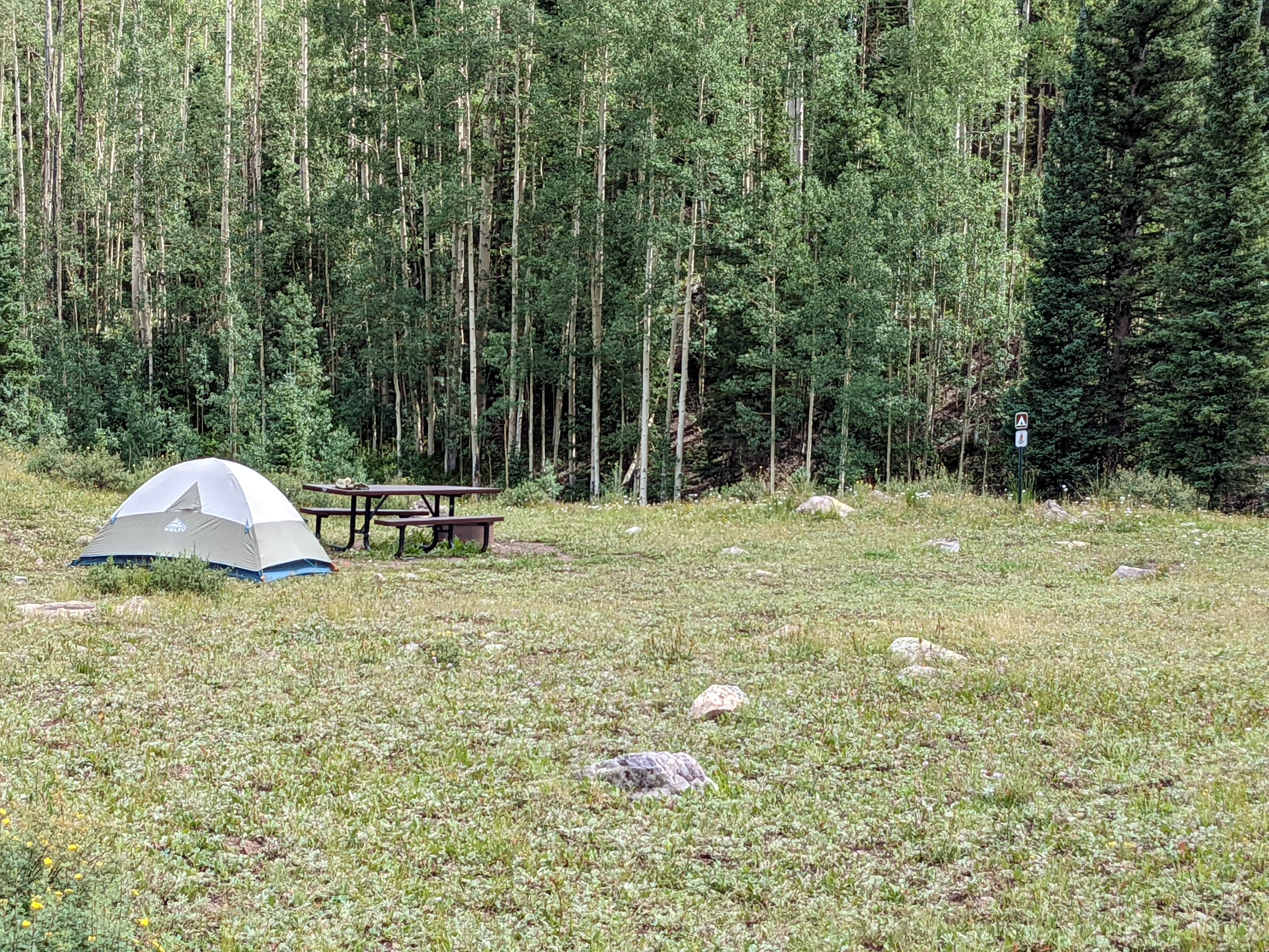 Greg L.'s photo of tent camping at Priest Lake Dispersed Camping Area near Cascade, CO