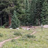 Review photo of Priest Lake Dispersed Camping Area by Greg L., August 8, 2022