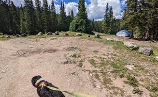 Greg L.'s photo of tent camping at Priest Lake Dispersed Camping Area near Mancos, CO
