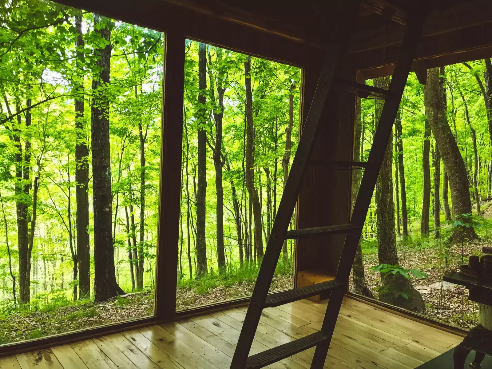 Camper-submitted photo at Beech Hollow Hideout near Lancaster, TN