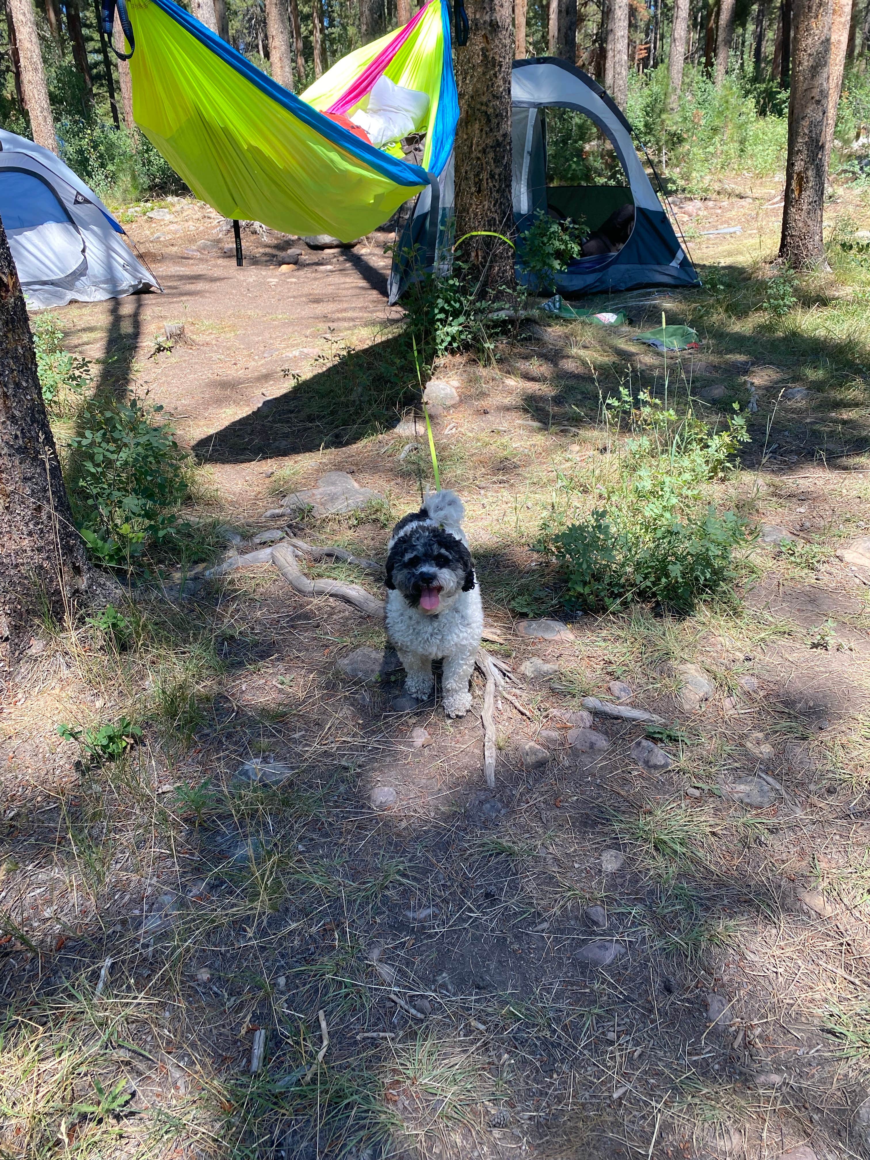 Stephen T.'s photo at Yellow Pine Camps near Kamas, UT