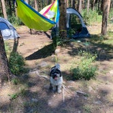 Review photo of Yellow Pine Camps by Stephen T., August 8, 2022