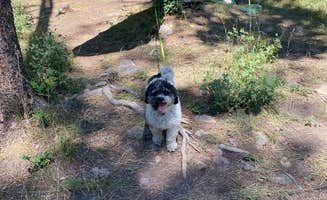 Stephen T.'s photo at Yellow Pine Camps near Kamas, UT