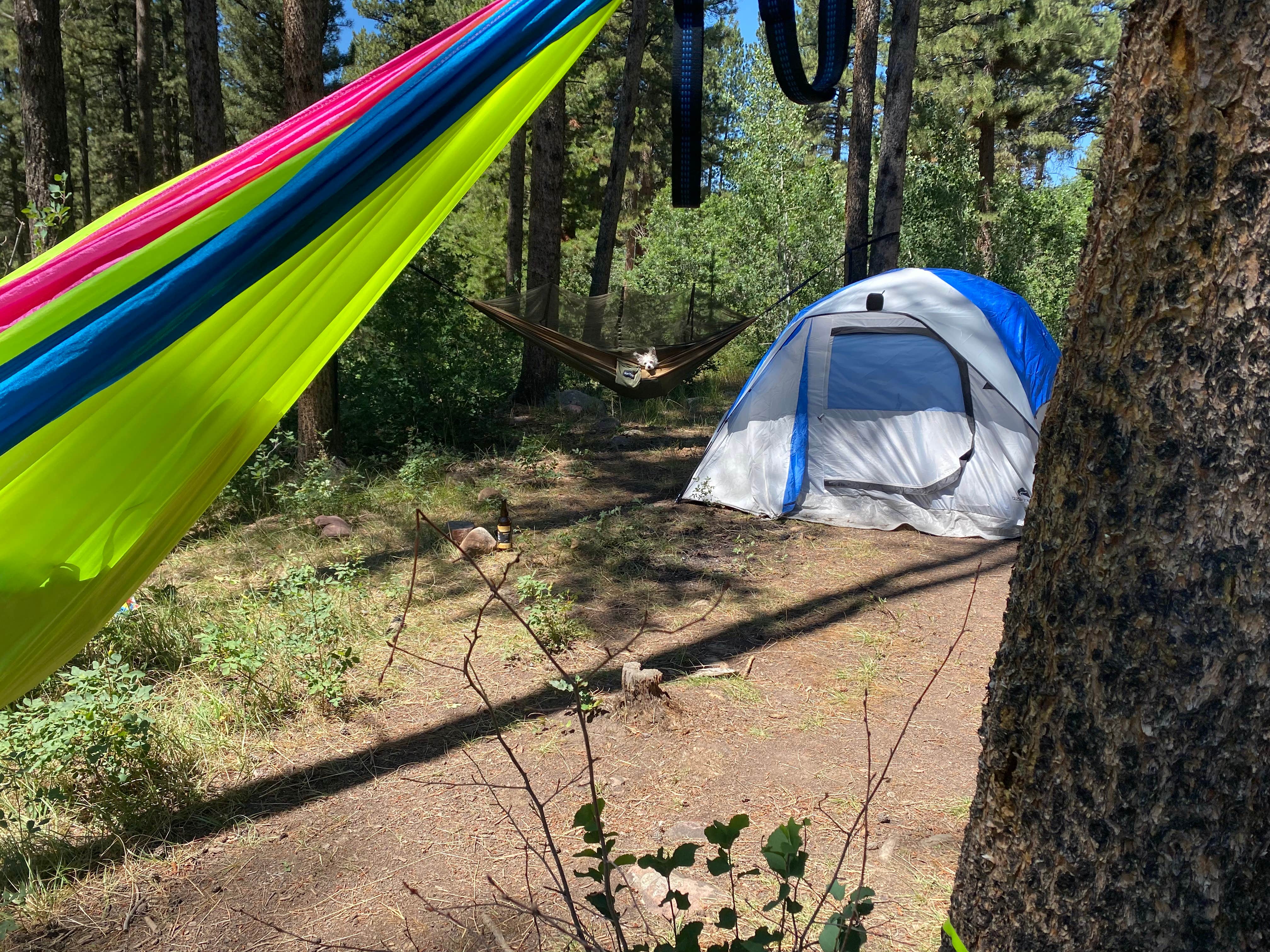 Camper submitted image from Yellow Pine Camps - 1