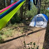 a few tents and hammocks set up in an open area.