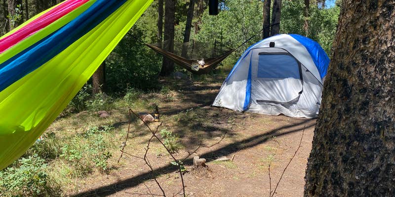 Camper submitted image from Yellow Pine Camps