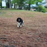 Review photo of Skyway Camping Resort by Ron H., August 4, 2022