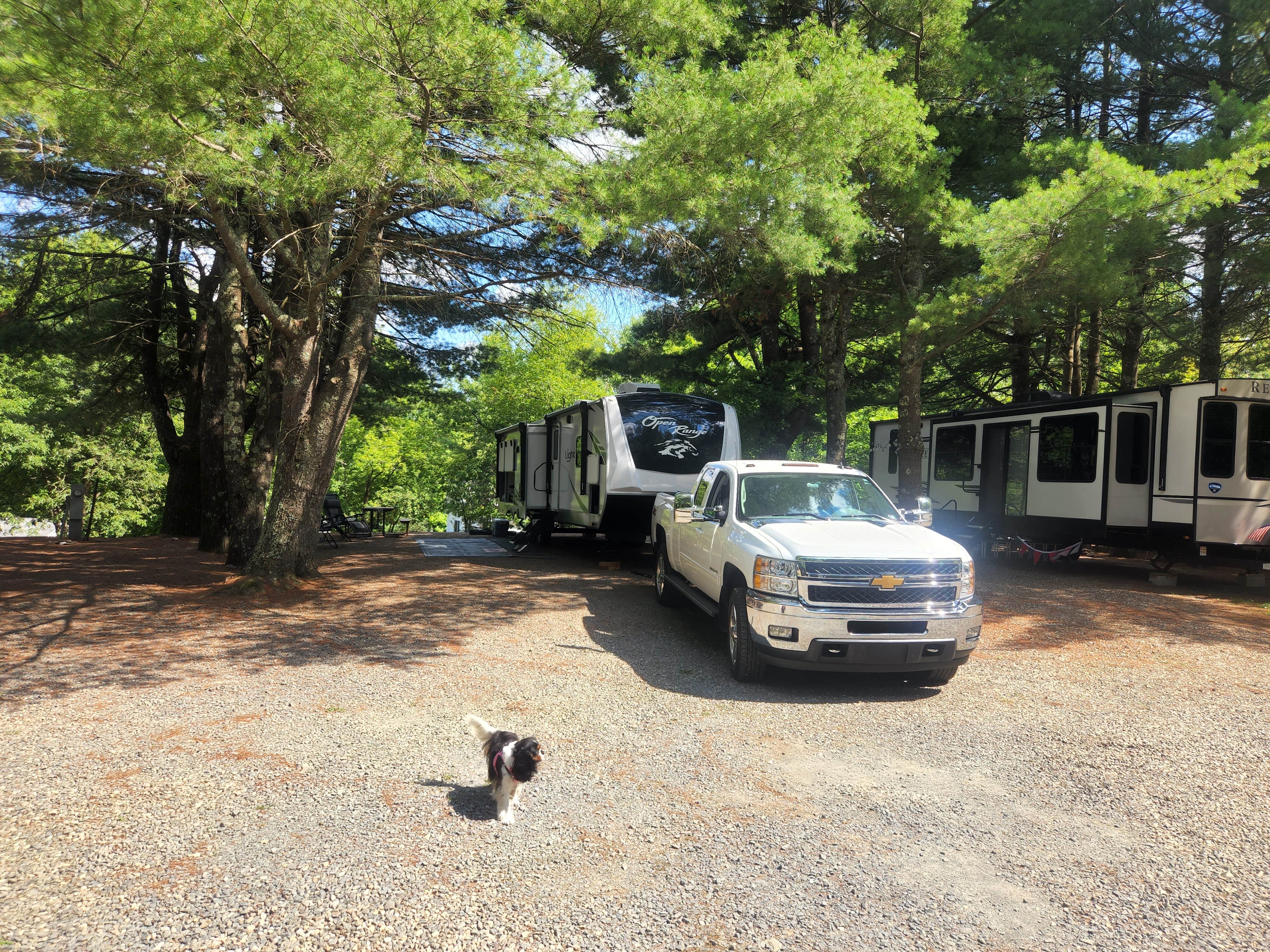 Camper submitted image from Skyway Camping Resort - 3