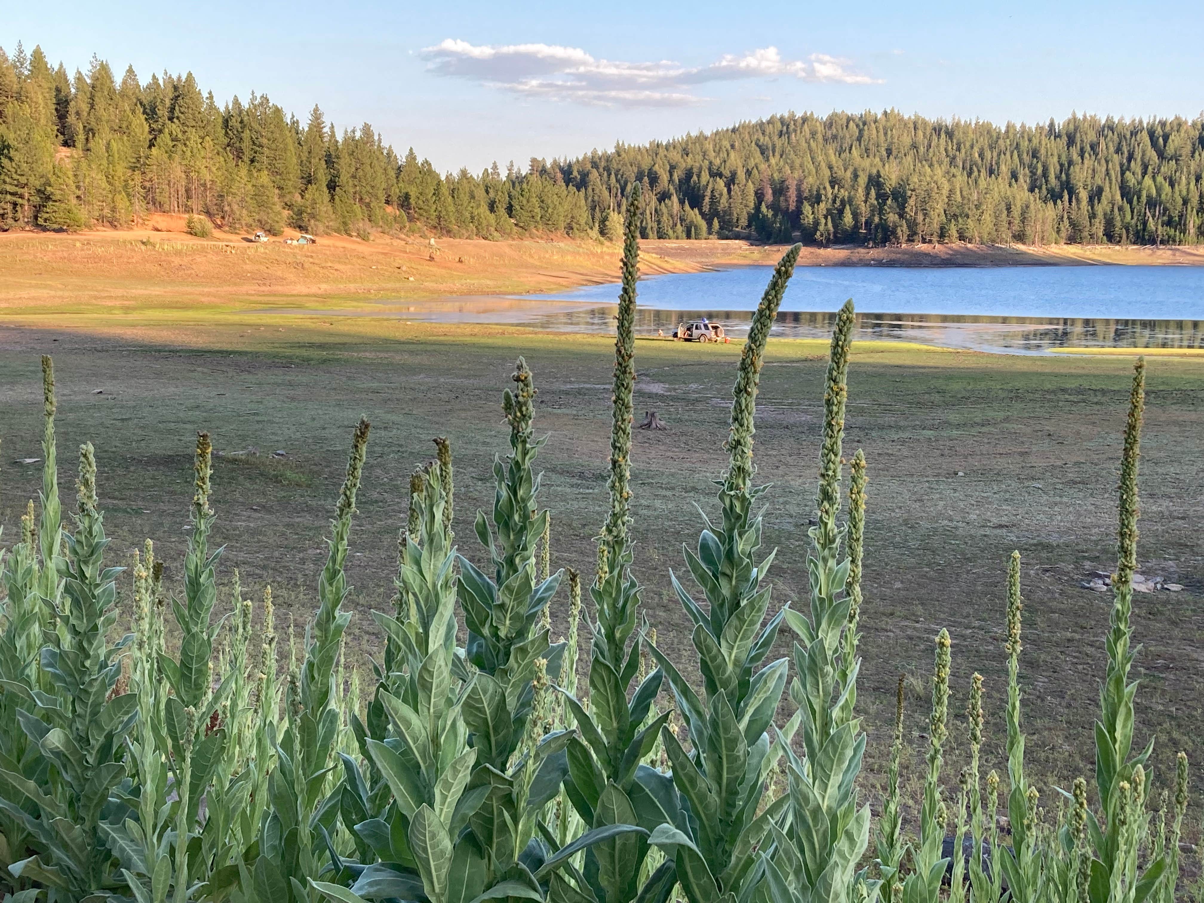 Camper-submitted photo at Balm Creek Reservoir Dispersed Camping near Richland, OR