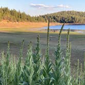 Review photo of Balm Creek Reservoir Dispersed Camping by Judy W., August 8, 2022