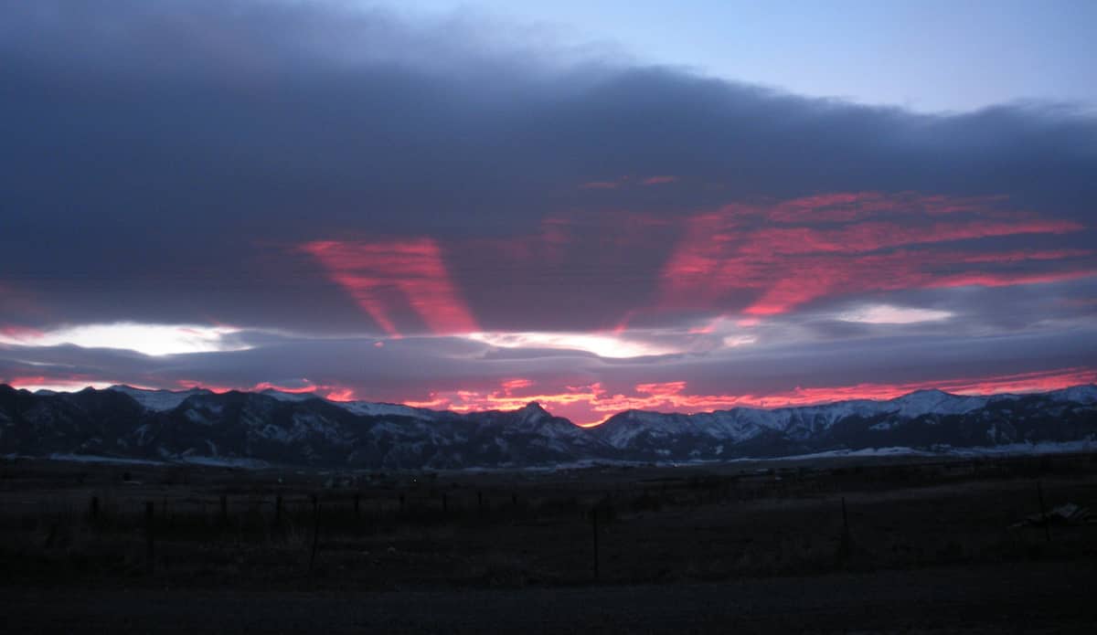 Serenity Sheep Farm Stay