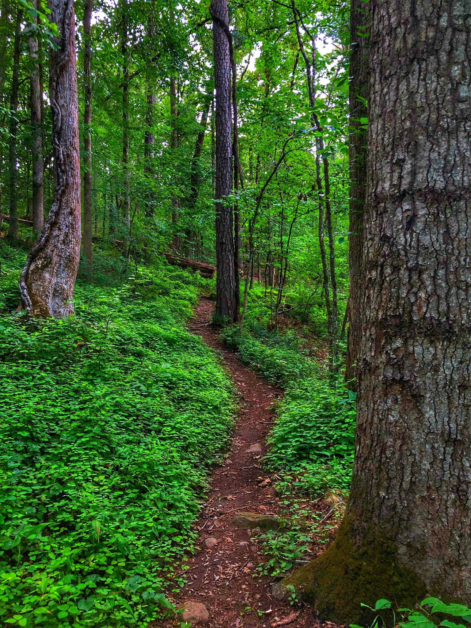 Hard Labor Creek State Park The Dyrt   Georgia Hard Labor Creek State Park 44e8a5269d3d9f85efa882098ed7999f 